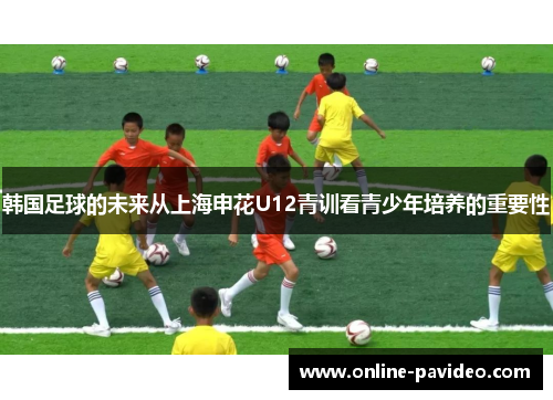 韩国足球的未来从上海申花U12青训看青少年培养的重要性
