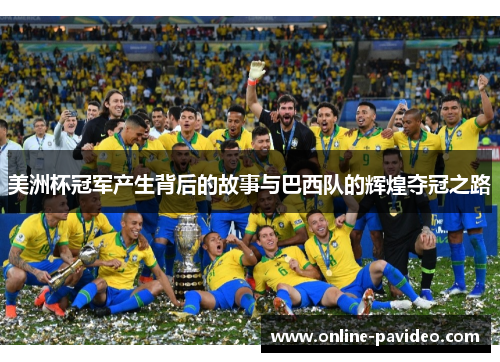 美洲杯冠军产生背后的故事与巴西队的辉煌夺冠之路