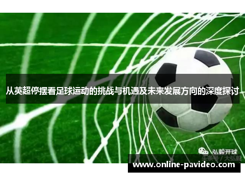 从英超停摆看足球运动的挑战与机遇及未来发展方向的深度探讨
