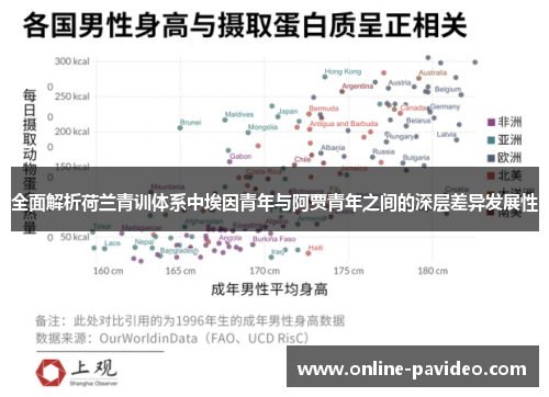 全面解析荷兰青训体系中埃因青年与阿贾青年之间的深层差异发展性