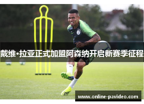 戴维·拉亚正式加盟阿森纳开启新赛季征程 戴维·拉亚正式加盟阿森纳开启新赛季征程